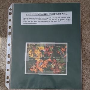 Hummingbirds of Guyana Home Design Stamp Set